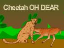 Cheetah OH DEAR