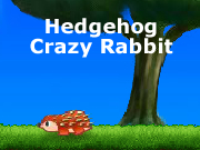 Hedgehog Crazy Rabbit