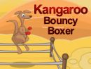 Kangaroo Bouncy Boxer