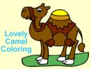 Lovely Camel Coloring