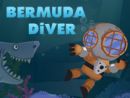 Bermuda Diver