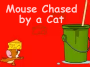 Mouse Chased by a Cat