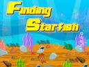Finding Star Fish
