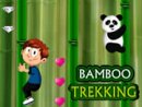 Bamboo Trekking