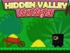 Hidden Valley Ninja