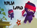 Ninja Land