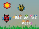 Bee Of The Weeks