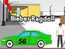 Bieber Ragdoll