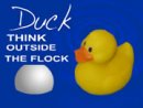 Duck: Think Outside The Flock