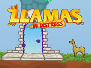 Llamas in Distress