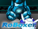 Roboxer