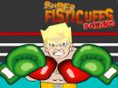 Super Fisticuffs Boxing
